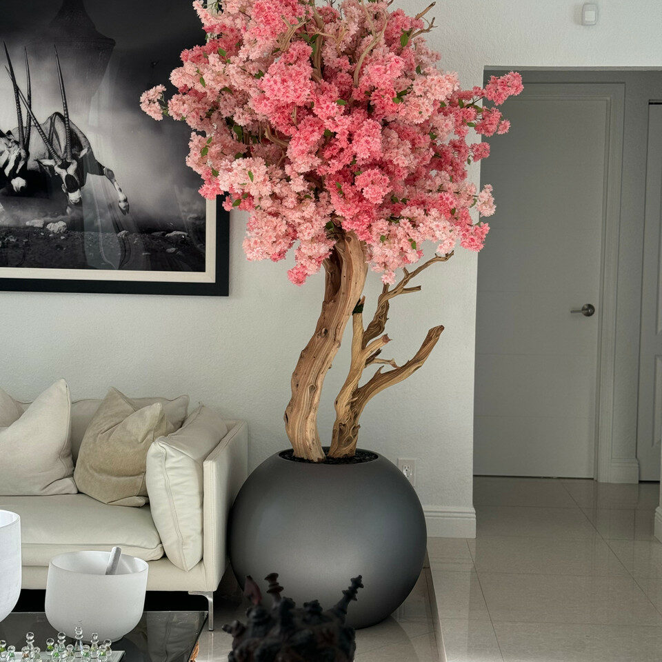 BlossoCore