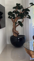 Kayora